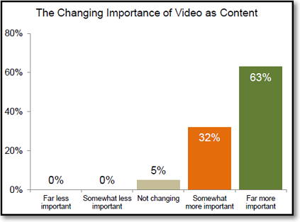 importancia de vídeo